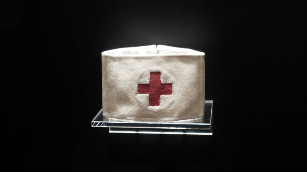 Was ist Krankenhaushygiene und wieso sind Schädlinge eine Gefahr für das gesundheitswesen?