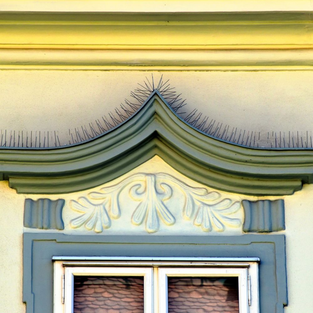 Spikes zur Vogel- und Taubenabwehr