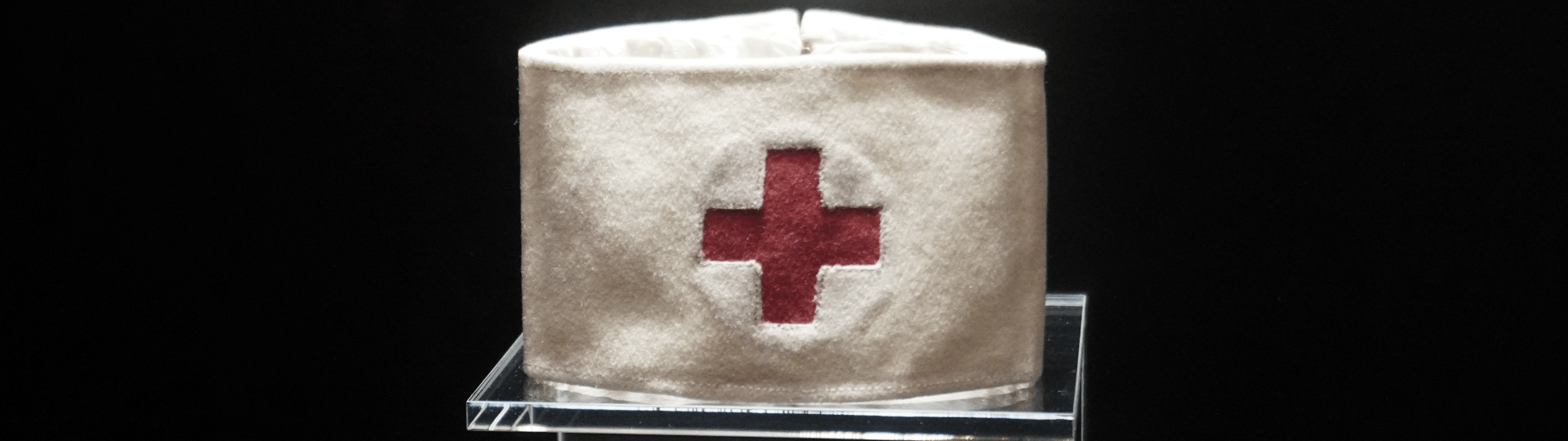 Was ist Krankenhaushygiene und wieso sind Schädlinge eine Gefahr für das gesundheitswesen?